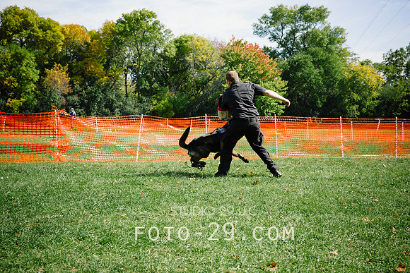 barktoberfest-9483