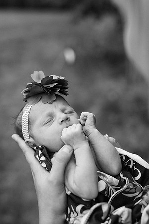 Everly-2358-2