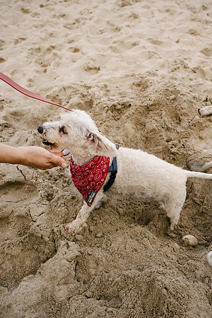 OffLeash2024-0950