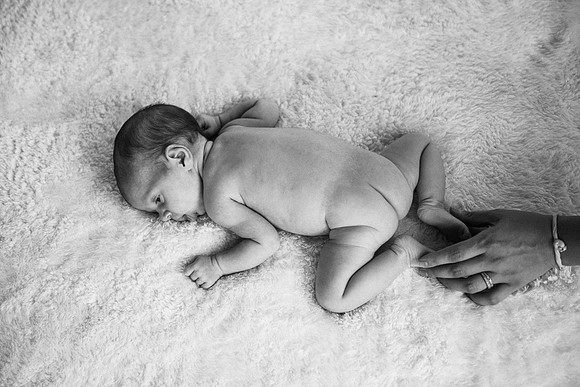 Everly-7455-2