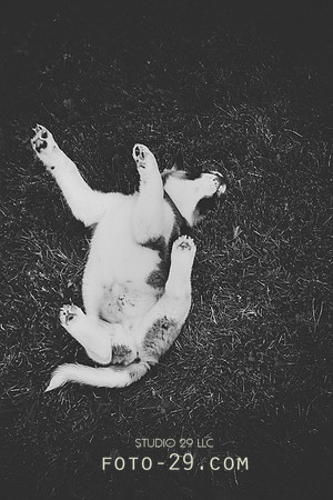 20140701-Kenzo-15bw