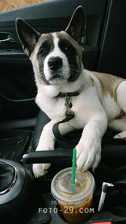 20140821_140729K-Starbucks