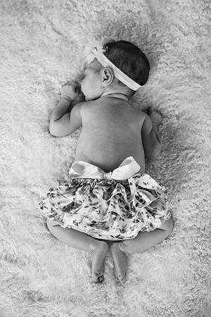 Everly-7442-2