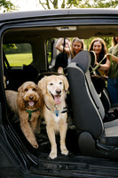OffLeash2024-0418