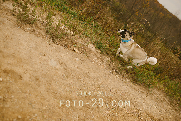 Oct_Kenzo-1111