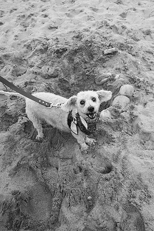 OffLeash2024-0958-2